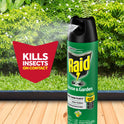 Raid House & Garden I, Kills Insects without Harming Plants, 11 oz