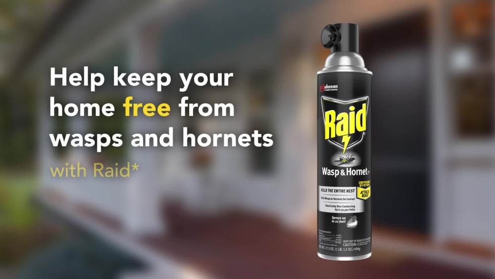 Raid Wasp & Hornet Killer 33, Outdoor Flying Insect Spray, 17.5 oz