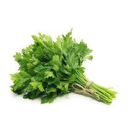 Italian Parsley