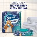 Charmin Flushable Wipes, 2 Flip-Top Packs, 40 Wipes per Pack, 80 Total Wipes