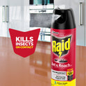 Raid Defend Indoor Defense System Roach and Ant Killer Spray Value Size, 20 oz