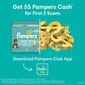 Pampers Baby Dry Diapers Size 1, 44 Count