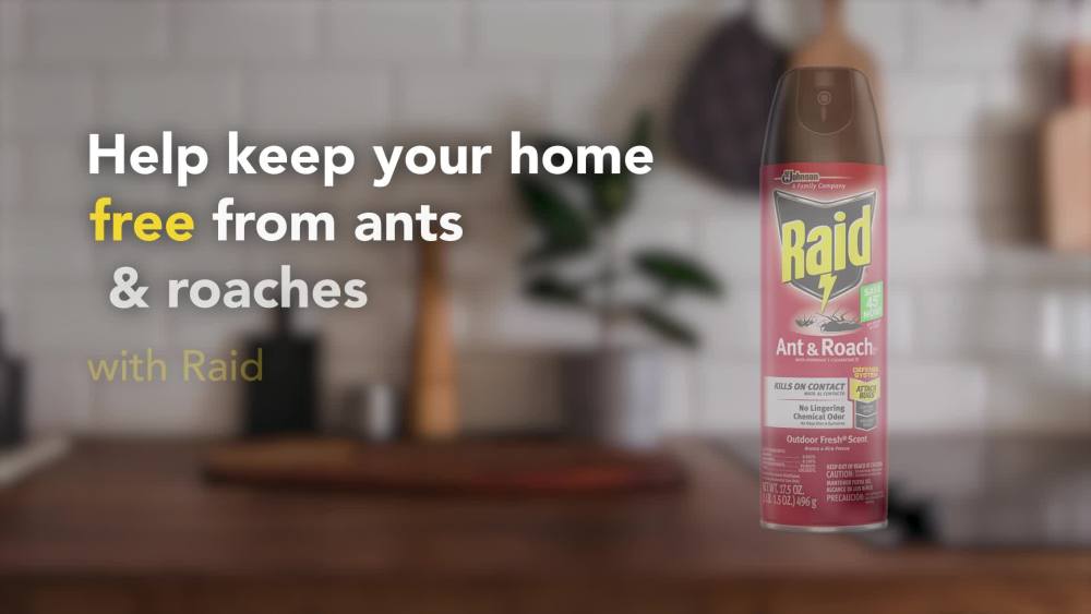 Raid Defend Indoor Ant and Roach Killer Spray Value Size, 20 oz