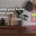 Raid Defend Outdoor Ant and Roach Insecticide Value Size, Fresh, 20 oz