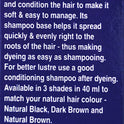 Permanent Liquid Hair Dye