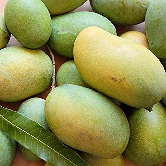 Mallika Mangoes