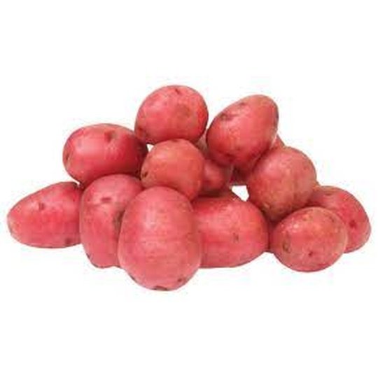 Red Creamer Potato