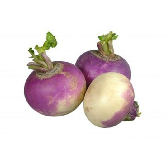 Fresh Turnip